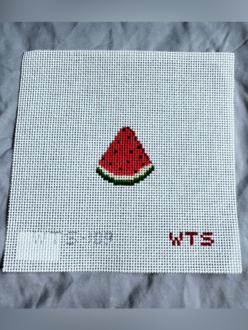 What's The Stitch (Mini Watermelon Slice) Needlepoint Canvas Hand Painted Craft